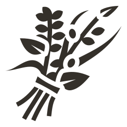 Healing Arts